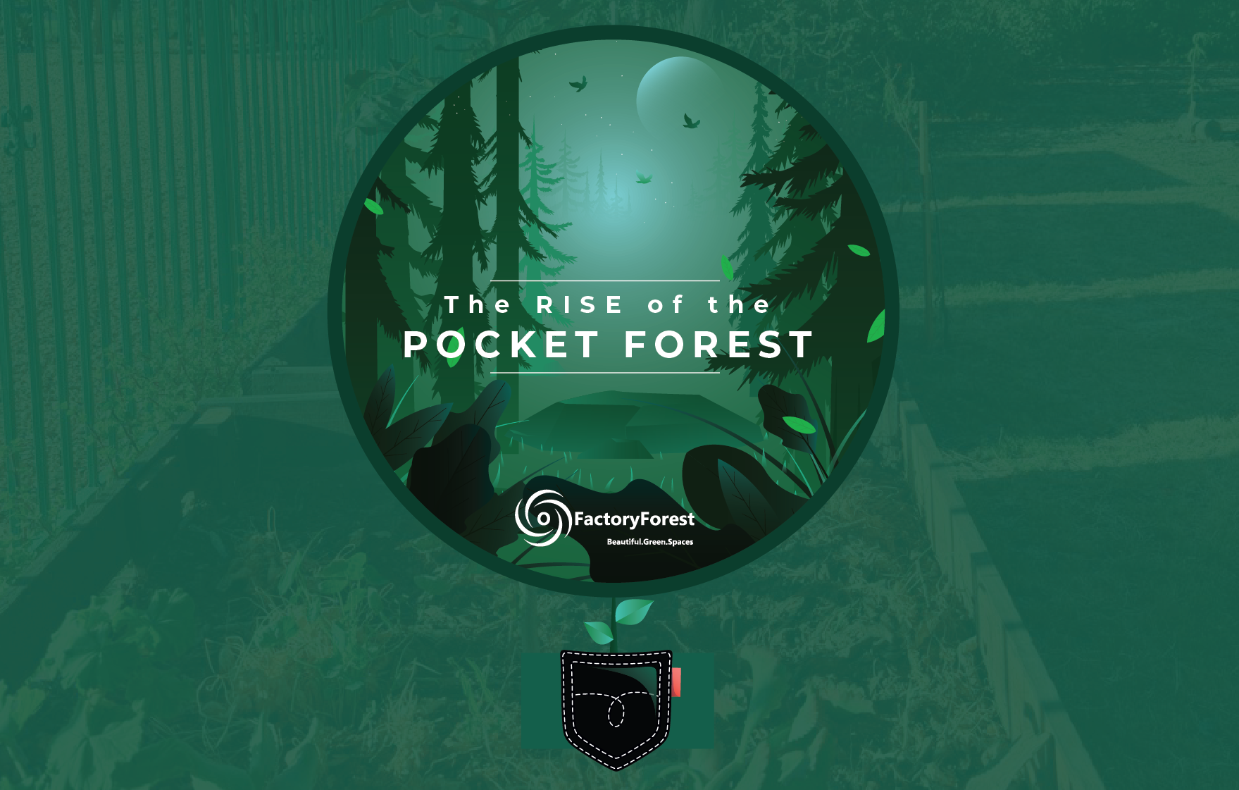The Rise of the Pocket Forest​