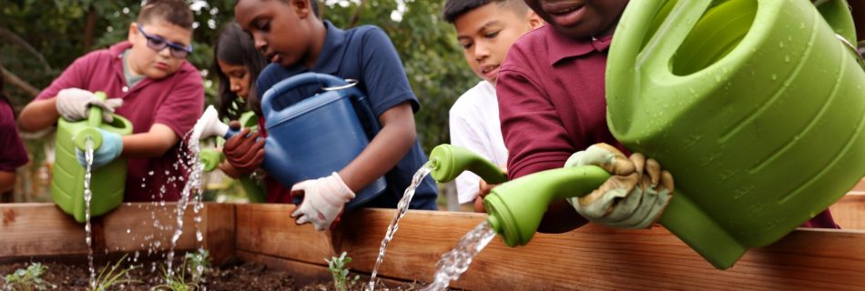 Greening Classrooms. Children come together to water plants for the betterment of their community and for themselves.