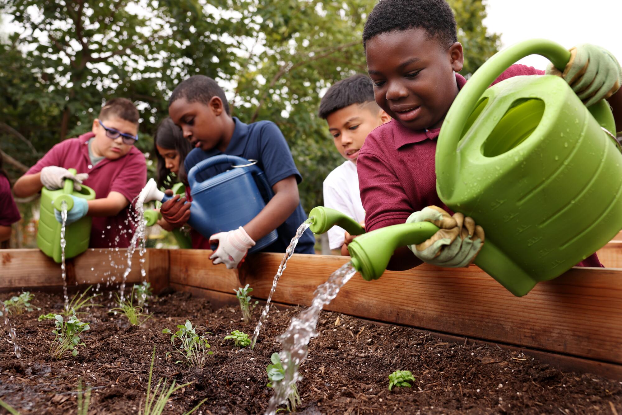 Greening Classrooms. Children come together to water plants for the betterment of their community and for themselves.